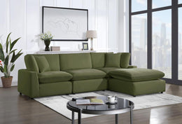 SKY Modular Sectional โ FREE TV or Area Rug!