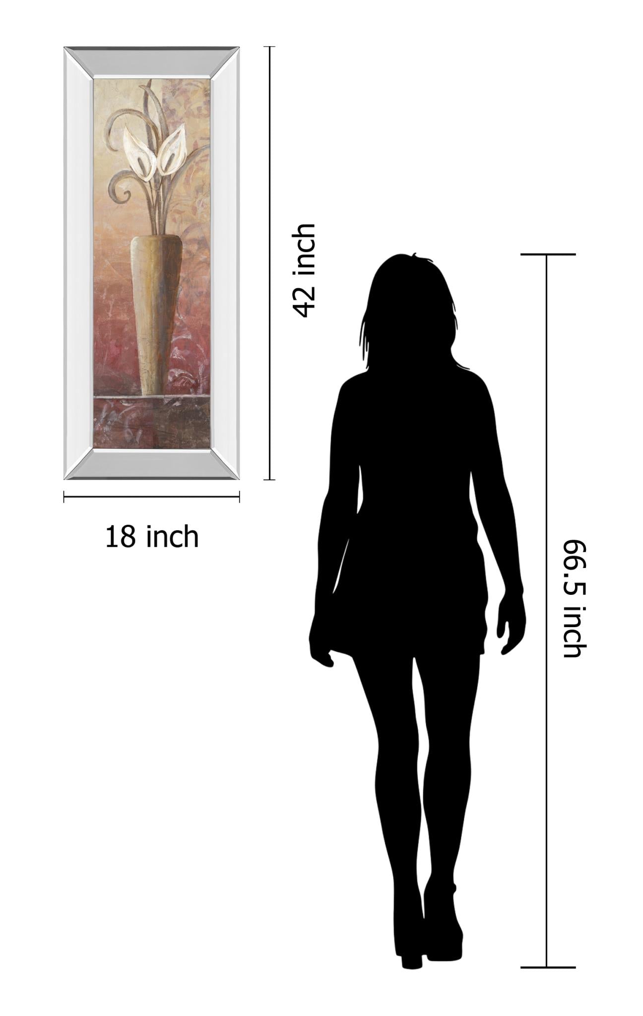 Mirrored Frame Promotional Line 18X42 18X42 Mirror Frame Print