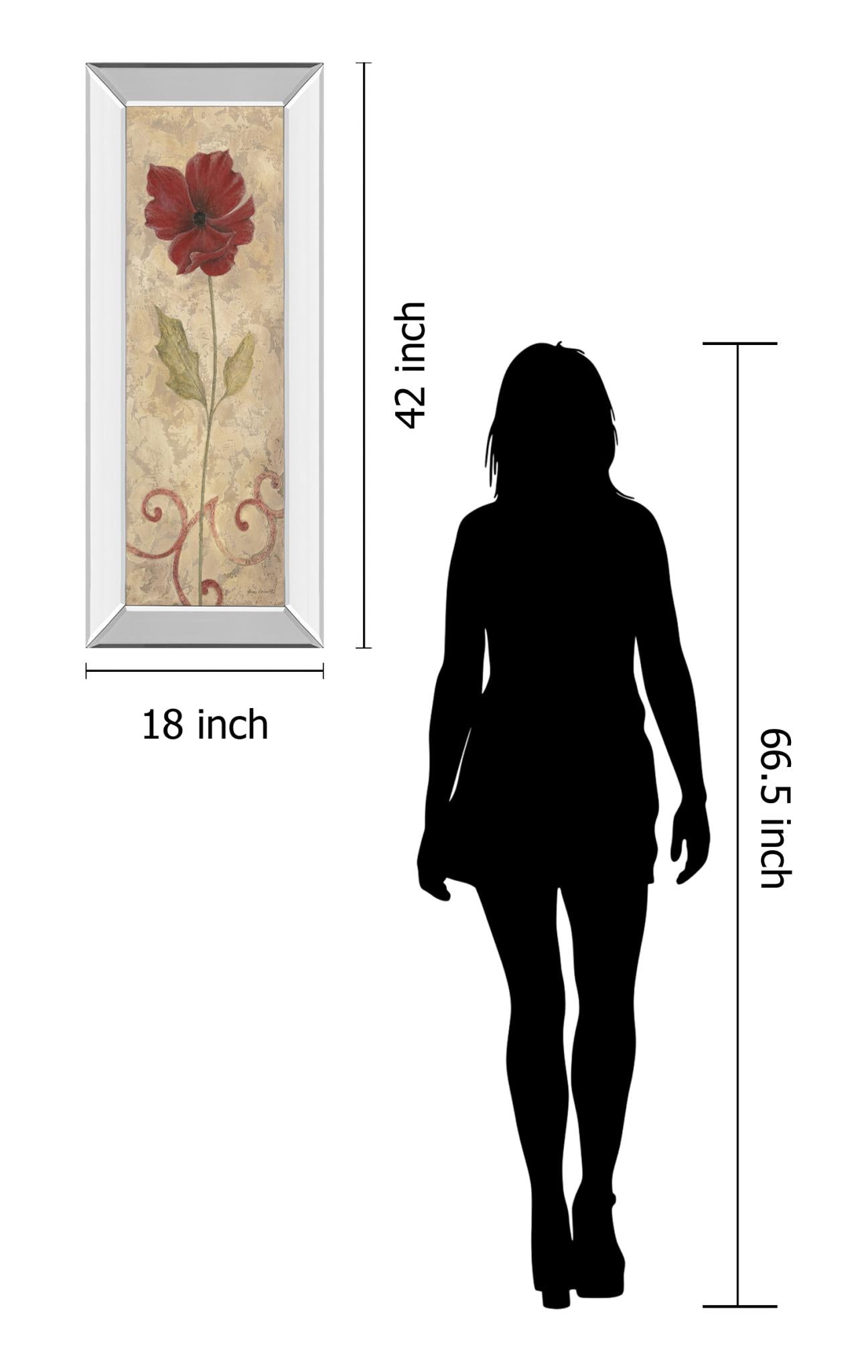 Mirrored Frame Promotional Line 18X42 18X42 Mirror Frame Print