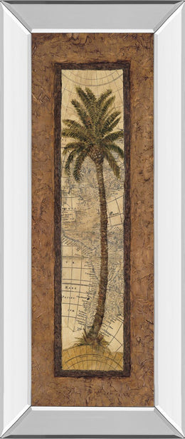 Mirrored Frame Global View Ii By Charlene Olson 18X42 Mirror Frame Print