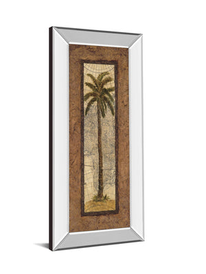 Mirrored Frame Global View Ii By Charlene Olson 18X42 Mirror Frame Print