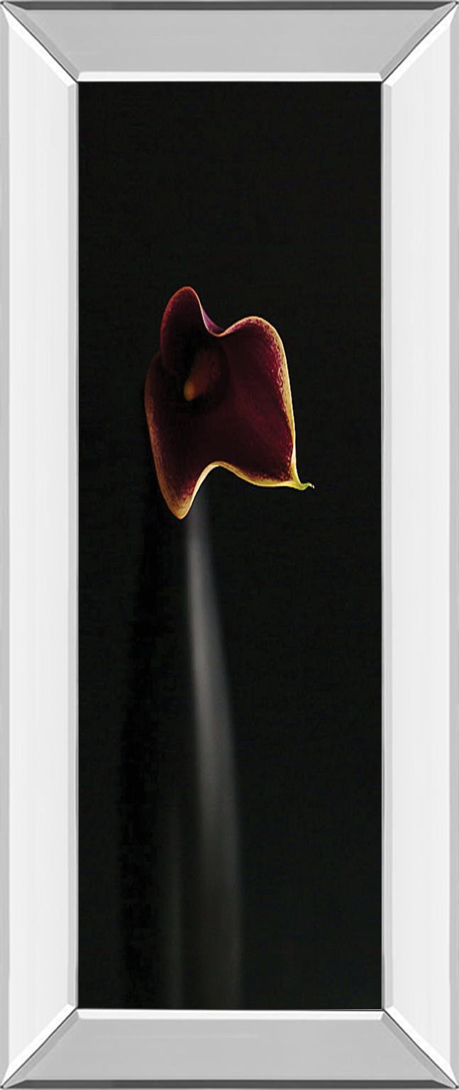 Mirrored Frame Calla In Ebony By Steven Mitchell 18X42 Mirror Frame Print