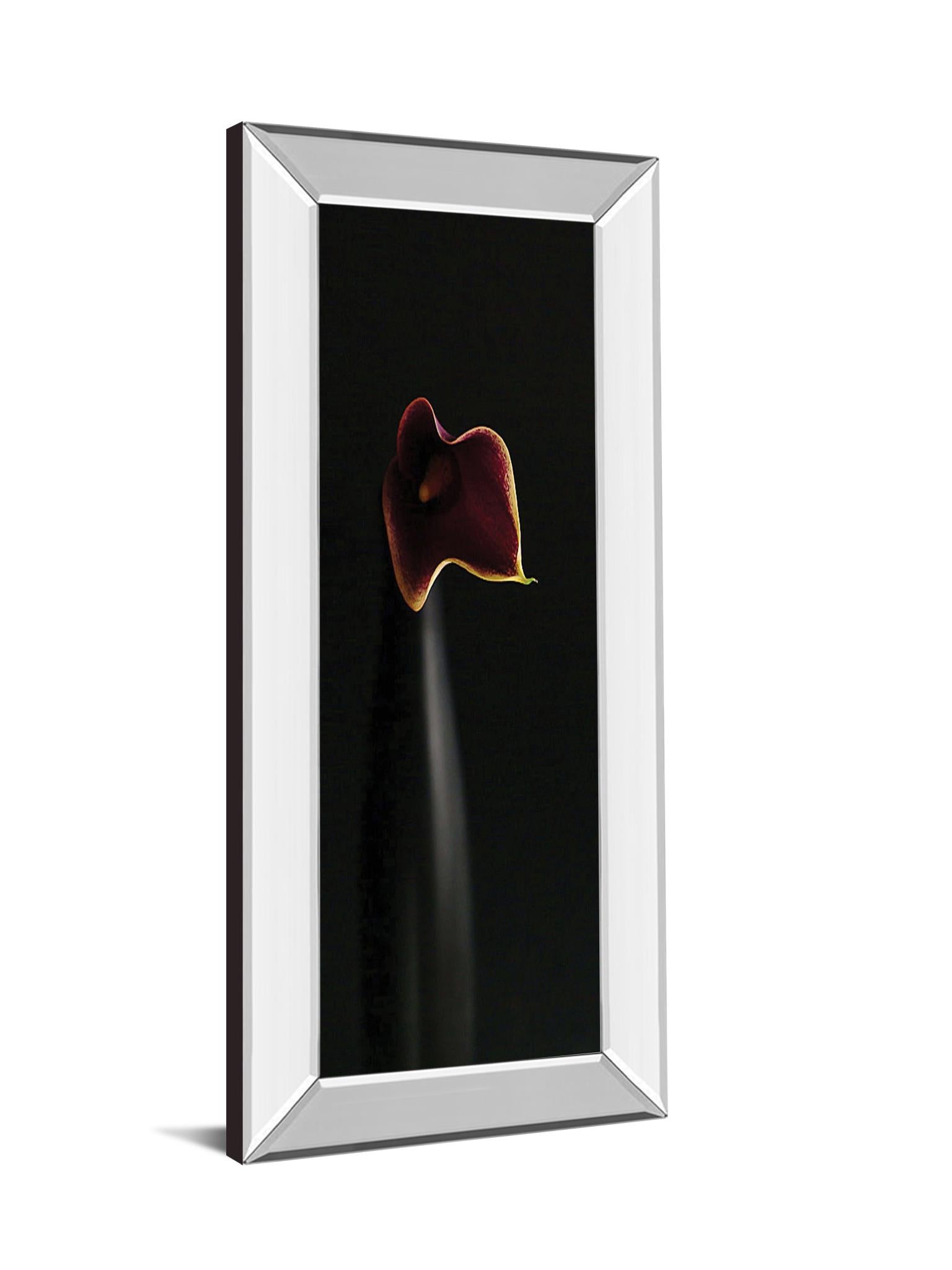 Mirrored Frame Calla In Ebony By Steven Mitchell 18X42 Mirror Frame Print