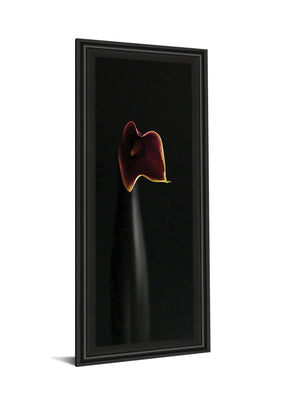 Calla In Ebony By Steven Mitchell 18X42 Framed Print