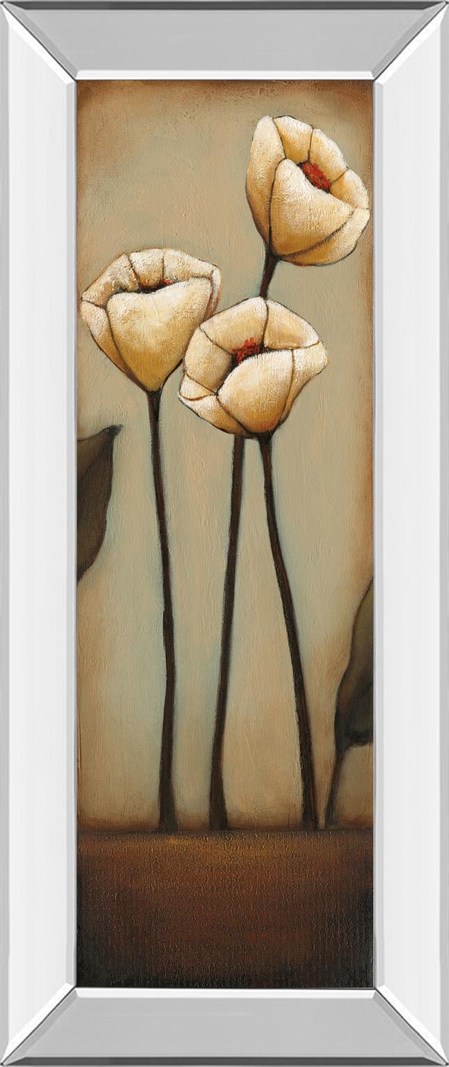 Mirrored Frame Jardin De Flores Ii By H.Alves 18X42 Mirror Frame Print