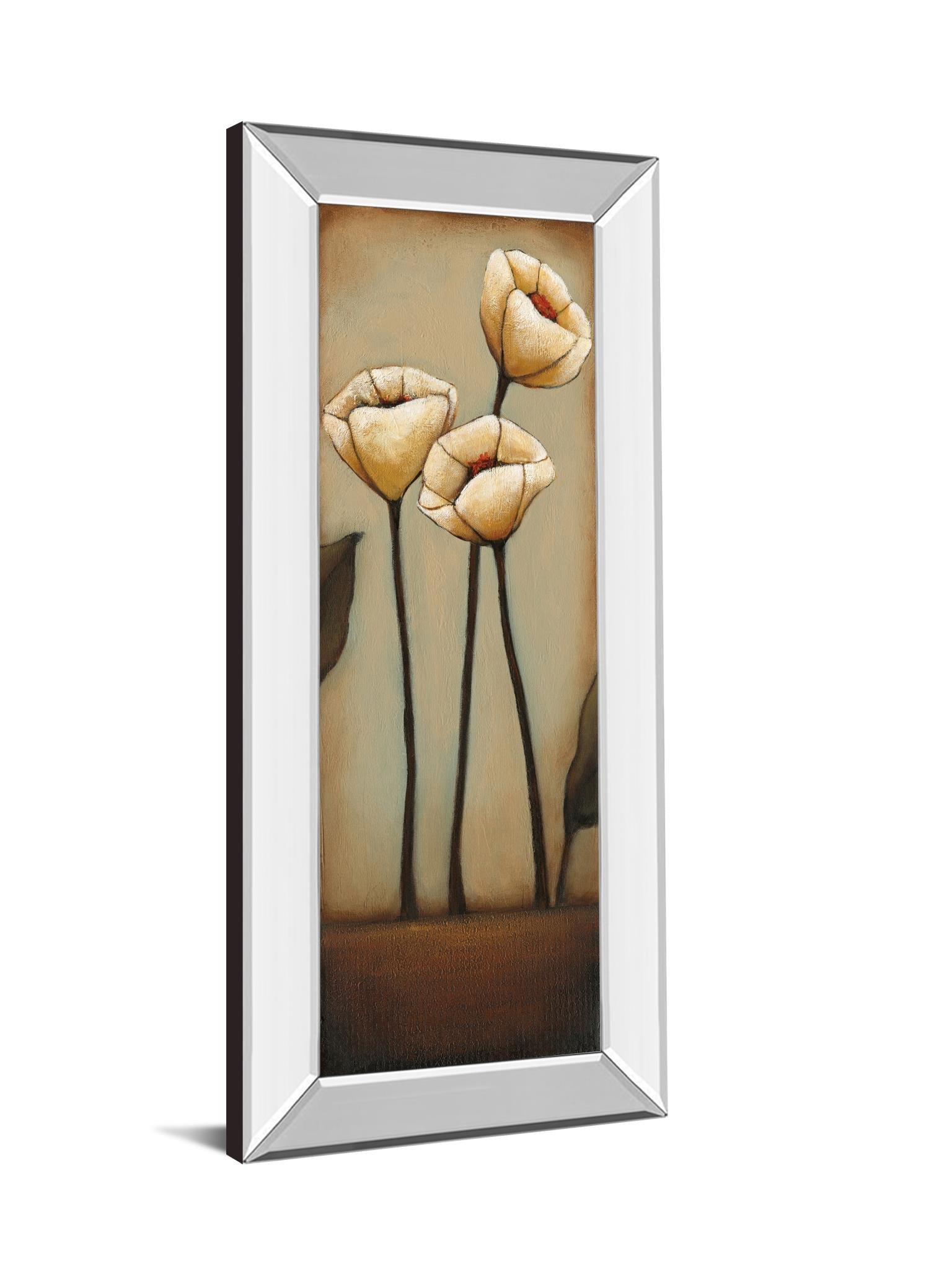 Mirrored Frame Jardin De Flores Ii By H.Alves 18X42 Mirror Frame Print