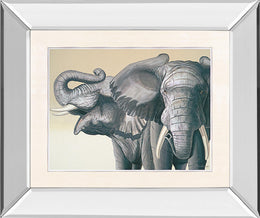 Mirrored Frame Elephant By Peter Moustakas 22X26 Mirror Frame Print