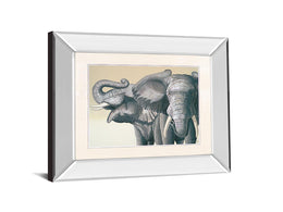 Mirrored Frame Elephant By Peter Moustakas 22X26 Mirror Frame Print