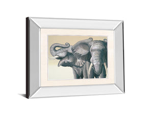 Mirrored Frame Elephant By Peter Moustakas 22X26 Mirror Frame Print