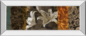 Mirrored Frame Evanescent Ii By Keith Mallet 18X42 Mirror Frame Print
