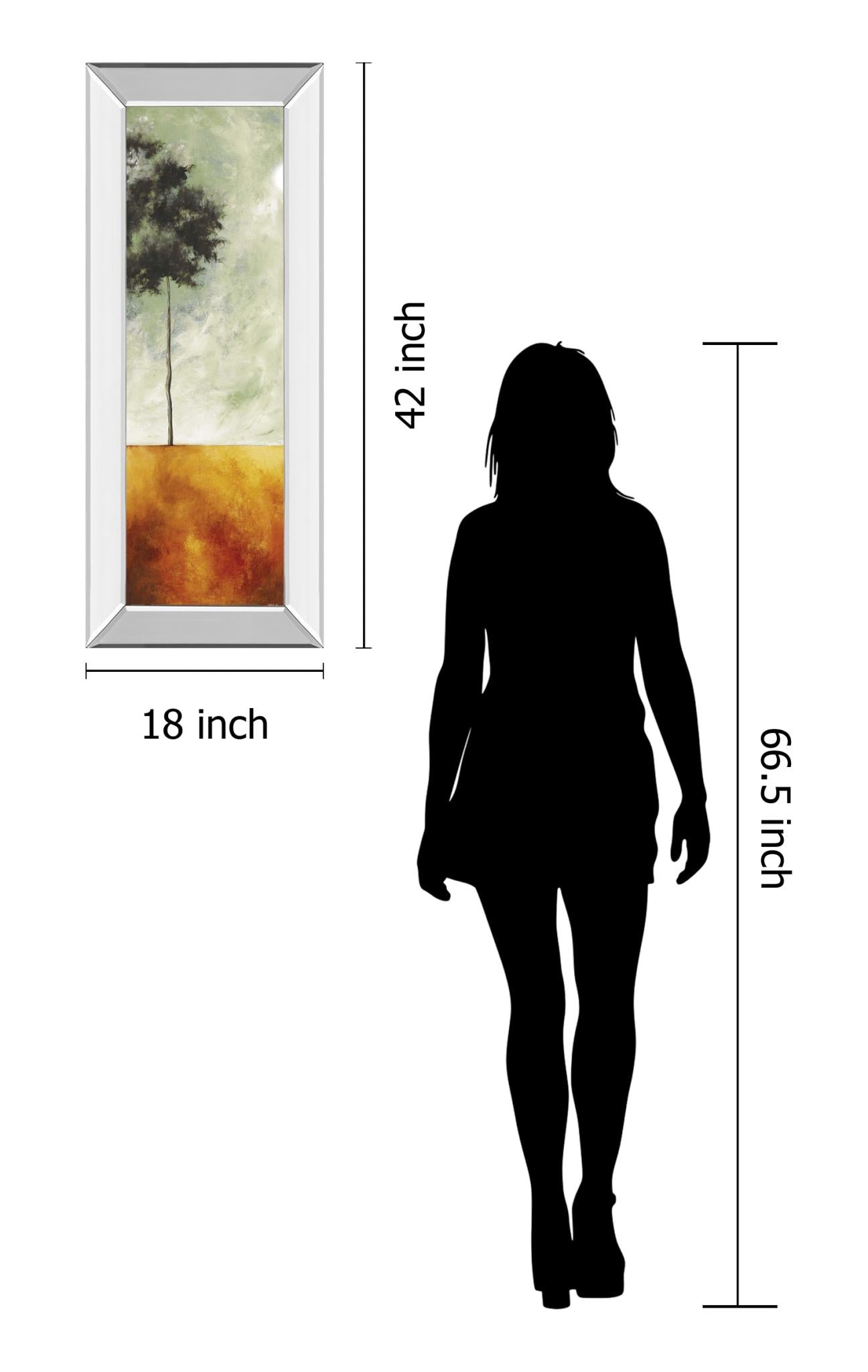 Mirrored Frame Promotional Line 18X42 18X42 Mirror Frame Print