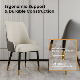 Rani Chairs (Grey)
