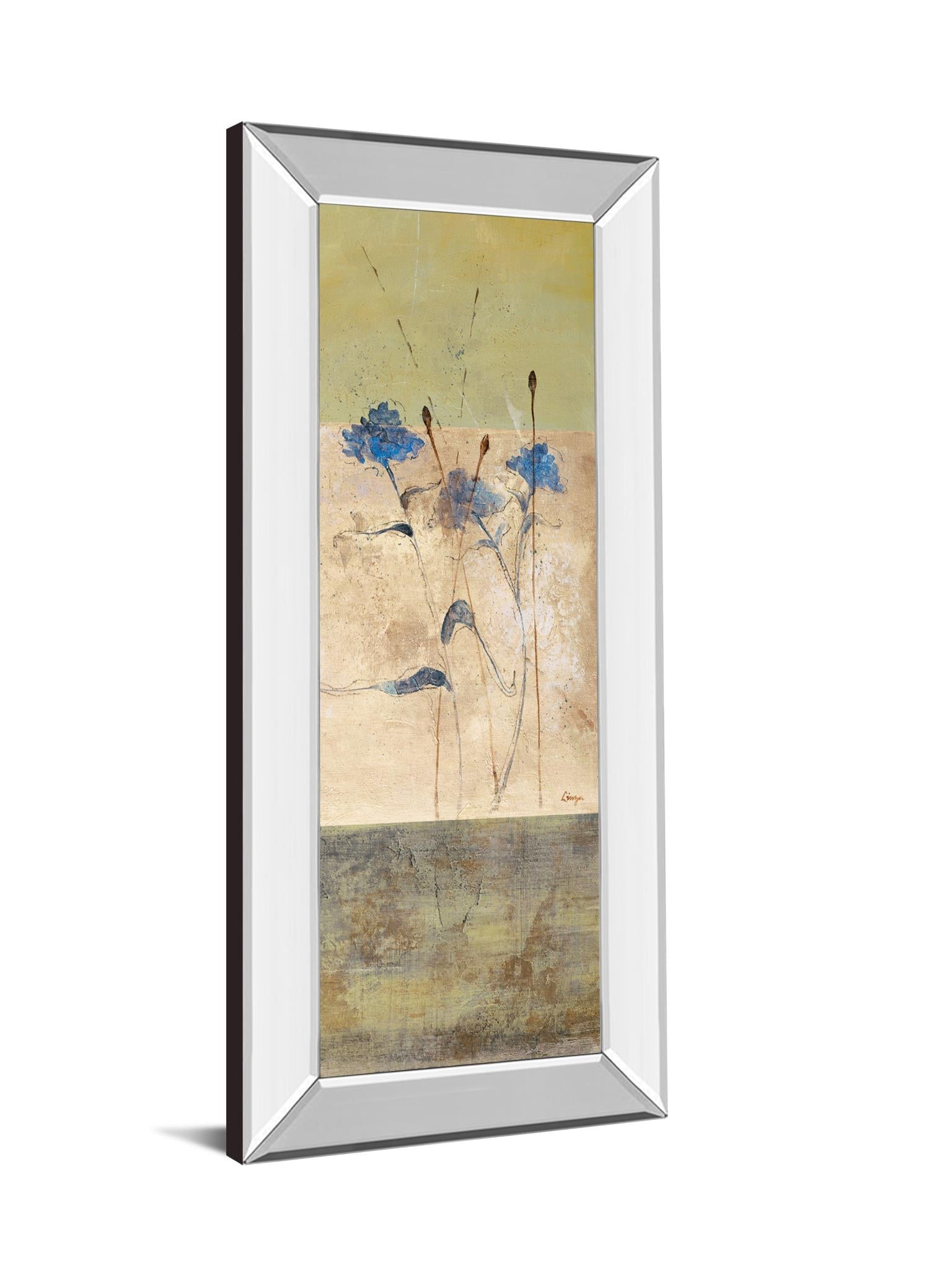 Mirrored Frame Kimono Ii By Loretta Linza 18X42 Mirror Frame Print