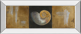 Mirrored Frame Seashells Ii By Patricia Pinto 18X42 Mirror Frame Print