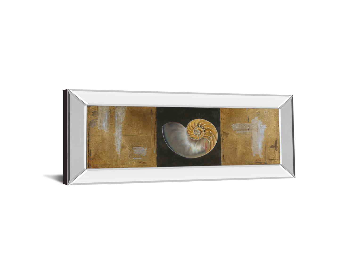 Mirrored Frame Seashells Ii By Patricia Pinto 18X42 Mirror Frame Print