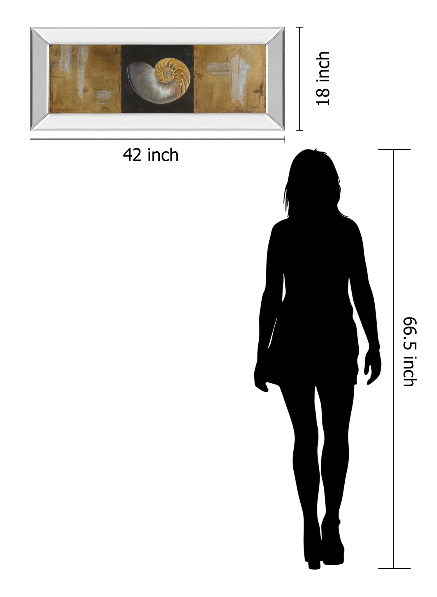 Mirrored Frame Seashells Ii By Patricia Pinto 18X42 Mirror Frame Print