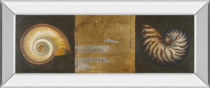 Mirrored Frame Seashells I By Patricia Pinto 18X42 Mirror Frame Print