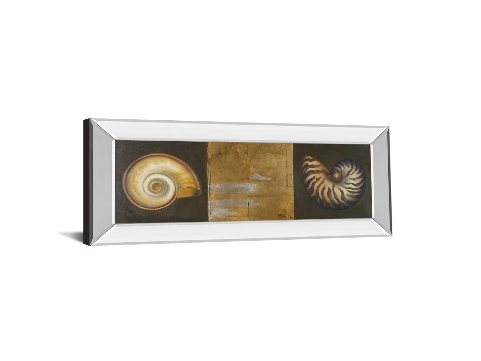 Mirrored Frame Seashells I By Patricia Pinto 18X42 Mirror Frame Print