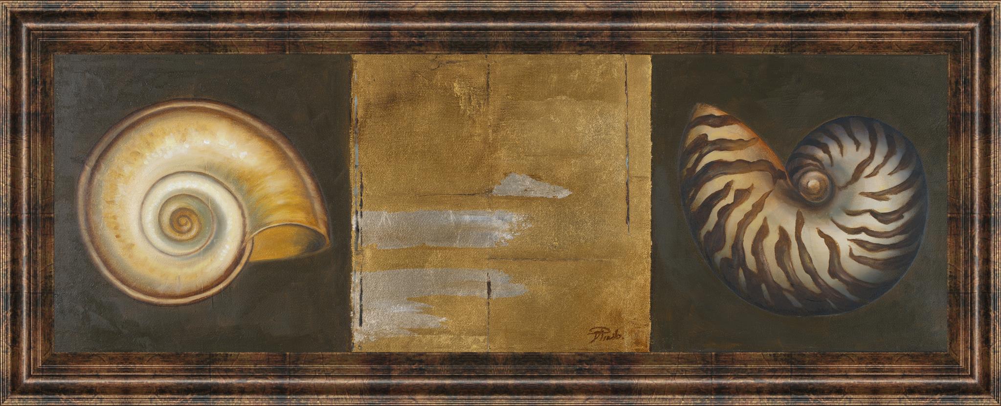 Seashells I By Patricia Pinto 18X42 Framed Print