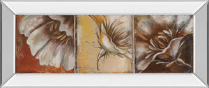 Mirrored Frame The Three Poppies Ii By Patricia Pinto 18X42 Mirror Frame Print