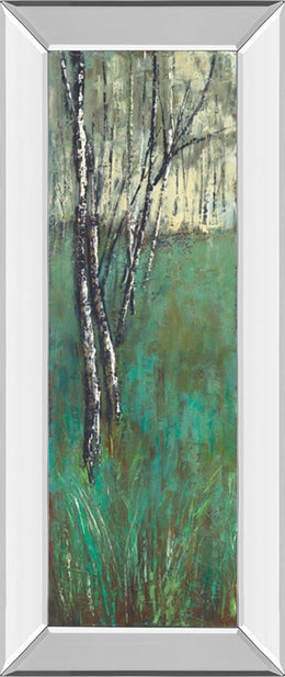Mirrored Frame Nature Companion I By Solis 18X42 Mirror Frame Print