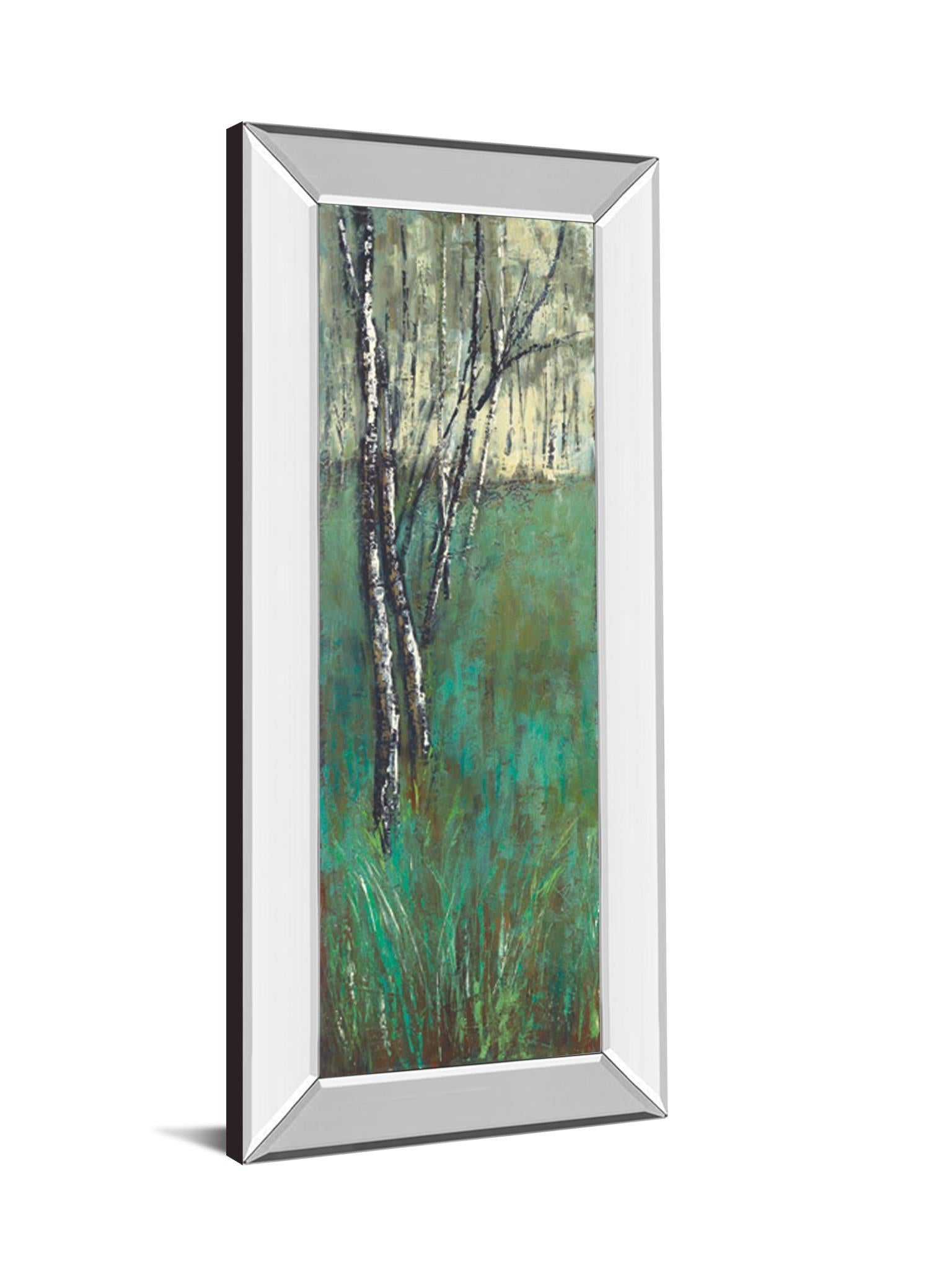 Mirrored Frame Nature Companion I By Solis 18X42 Mirror Frame Print