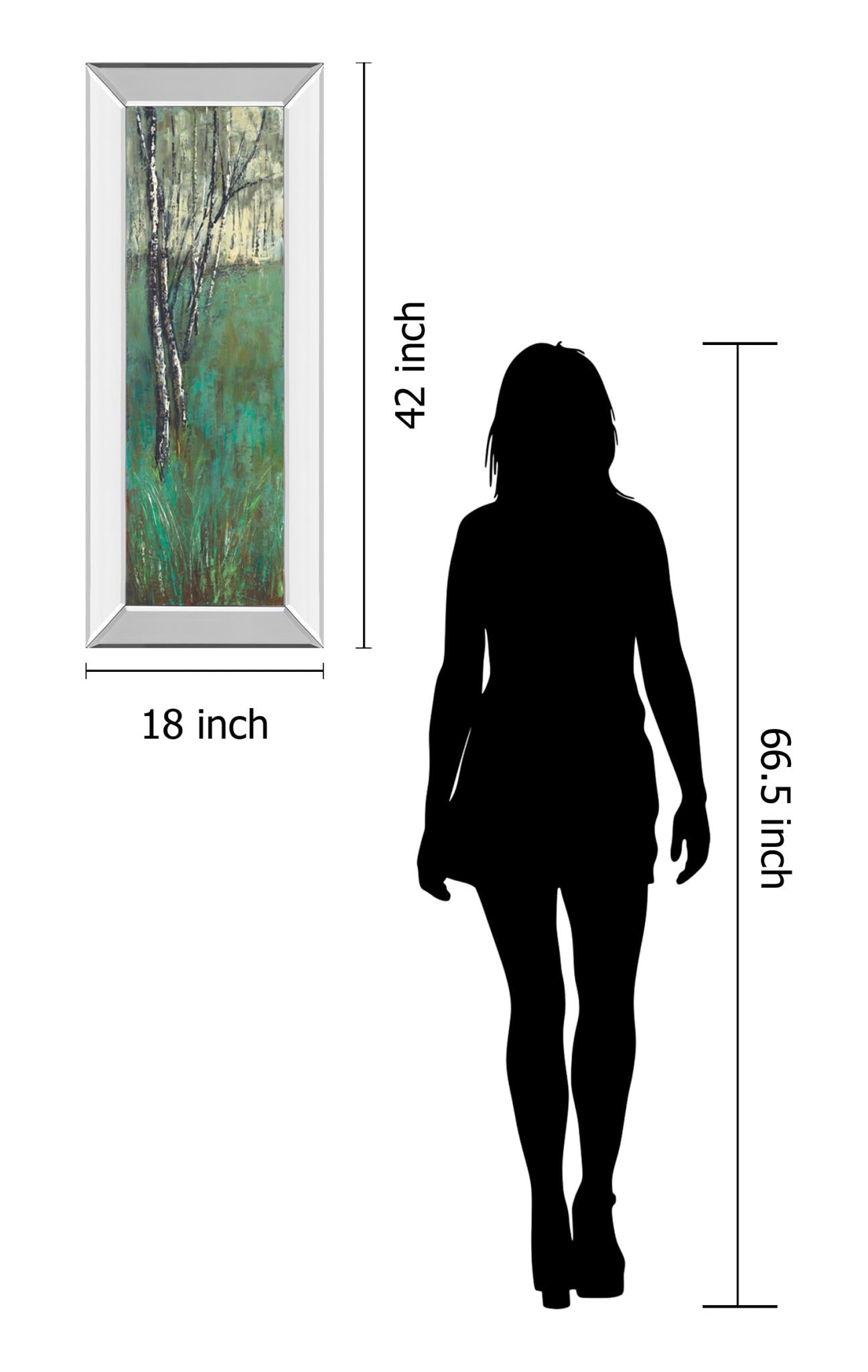 Mirrored Frame Nature Companion I By Solis 18X42 Mirror Frame Print