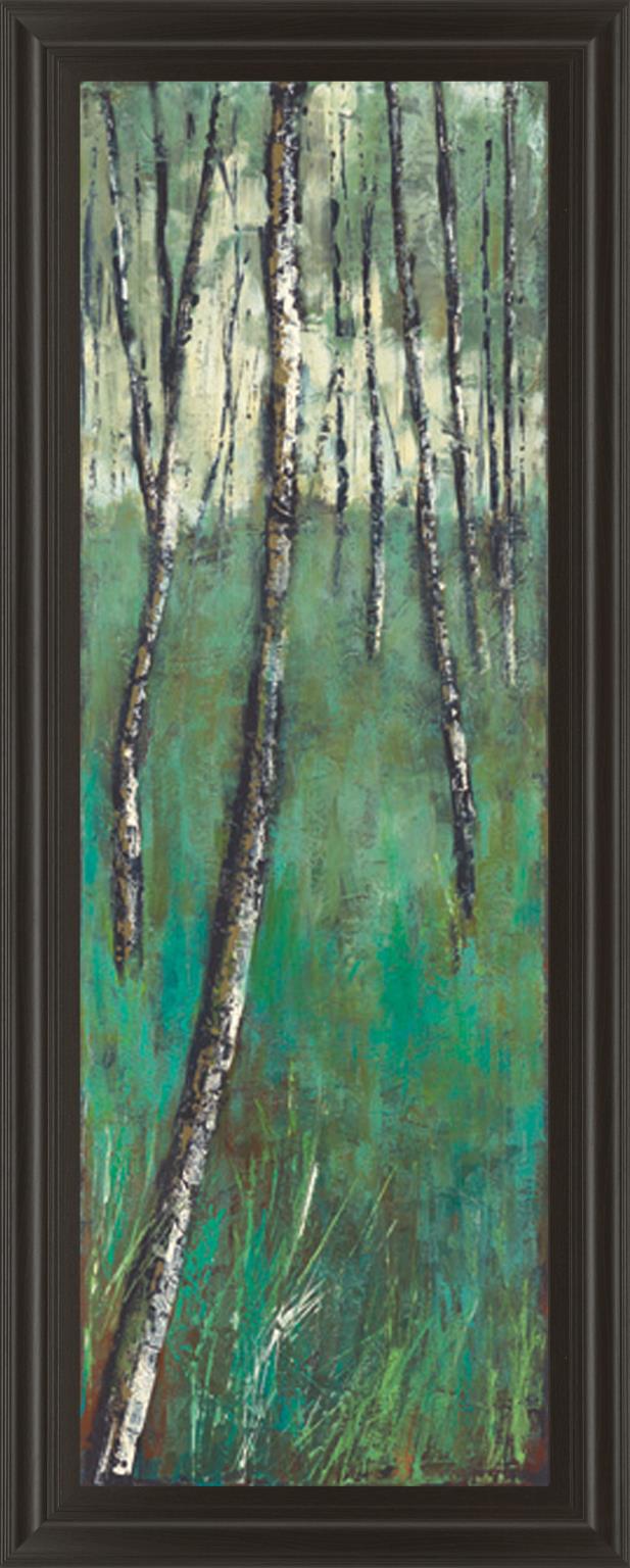 Nature Companion Ii By Solis 18X42 Framed Print