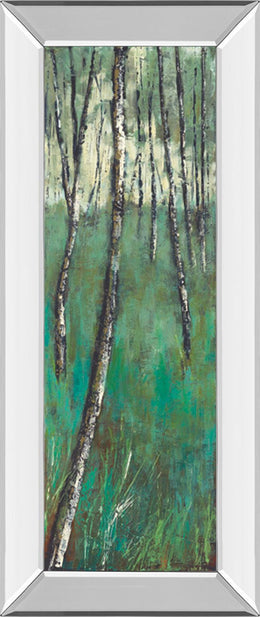 Mirrored Frame Nature Companion Ii By Solis 18X42 Mirror Frame Print
