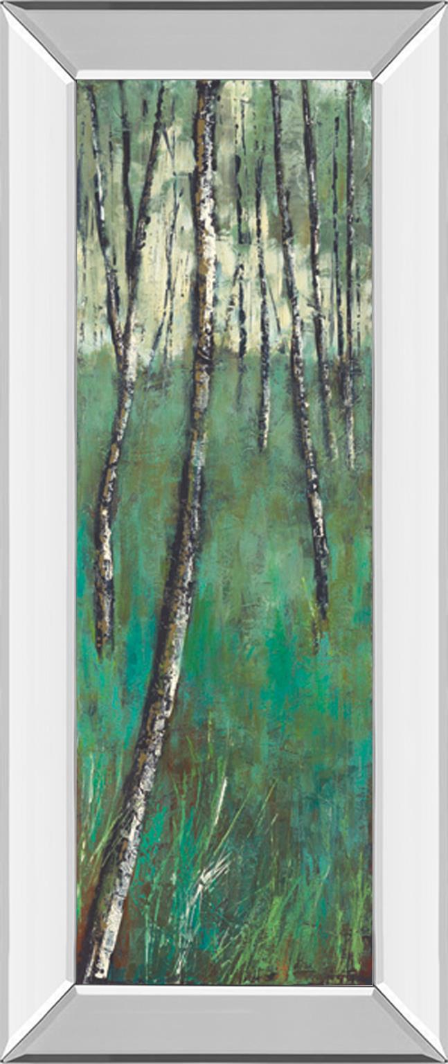 Mirrored Frame Nature Companion Ii By Solis 18X42 Mirror Frame Print