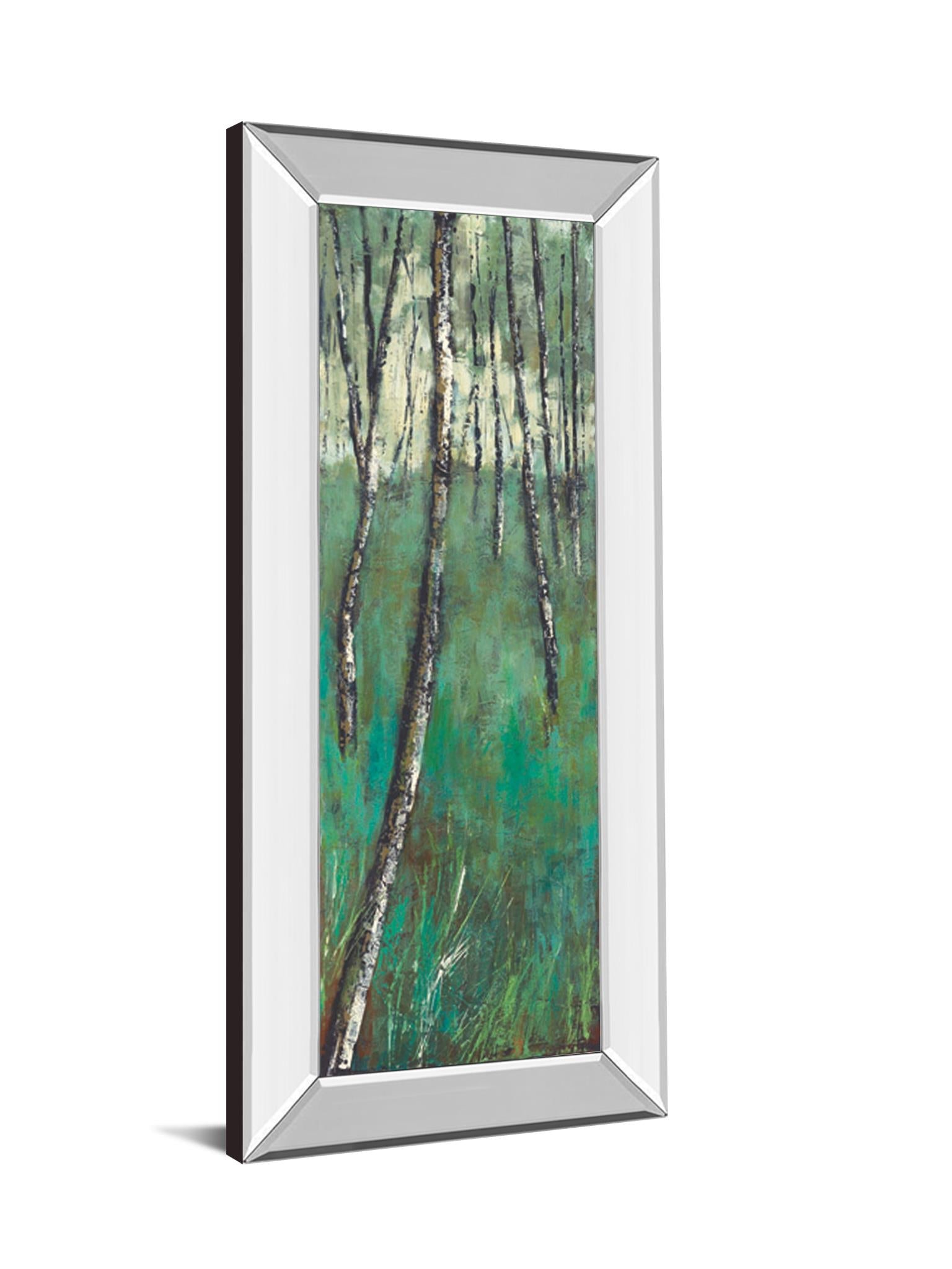 Mirrored Frame Nature Companion Ii By Solis 18X42 Mirror Frame Print