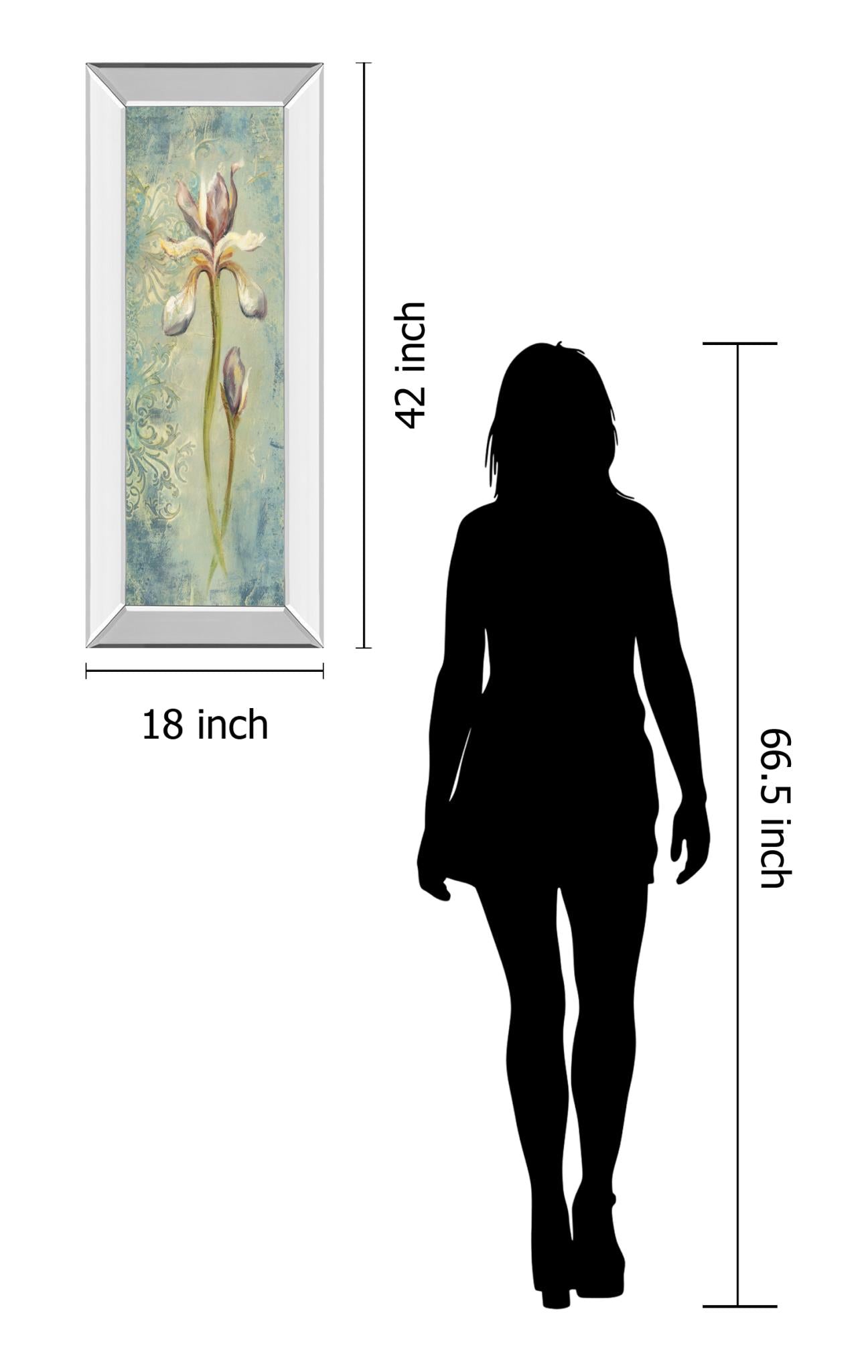 Mirrored Frame Floral Xi By Lee Hazel 18X42 Mirror Frame Print