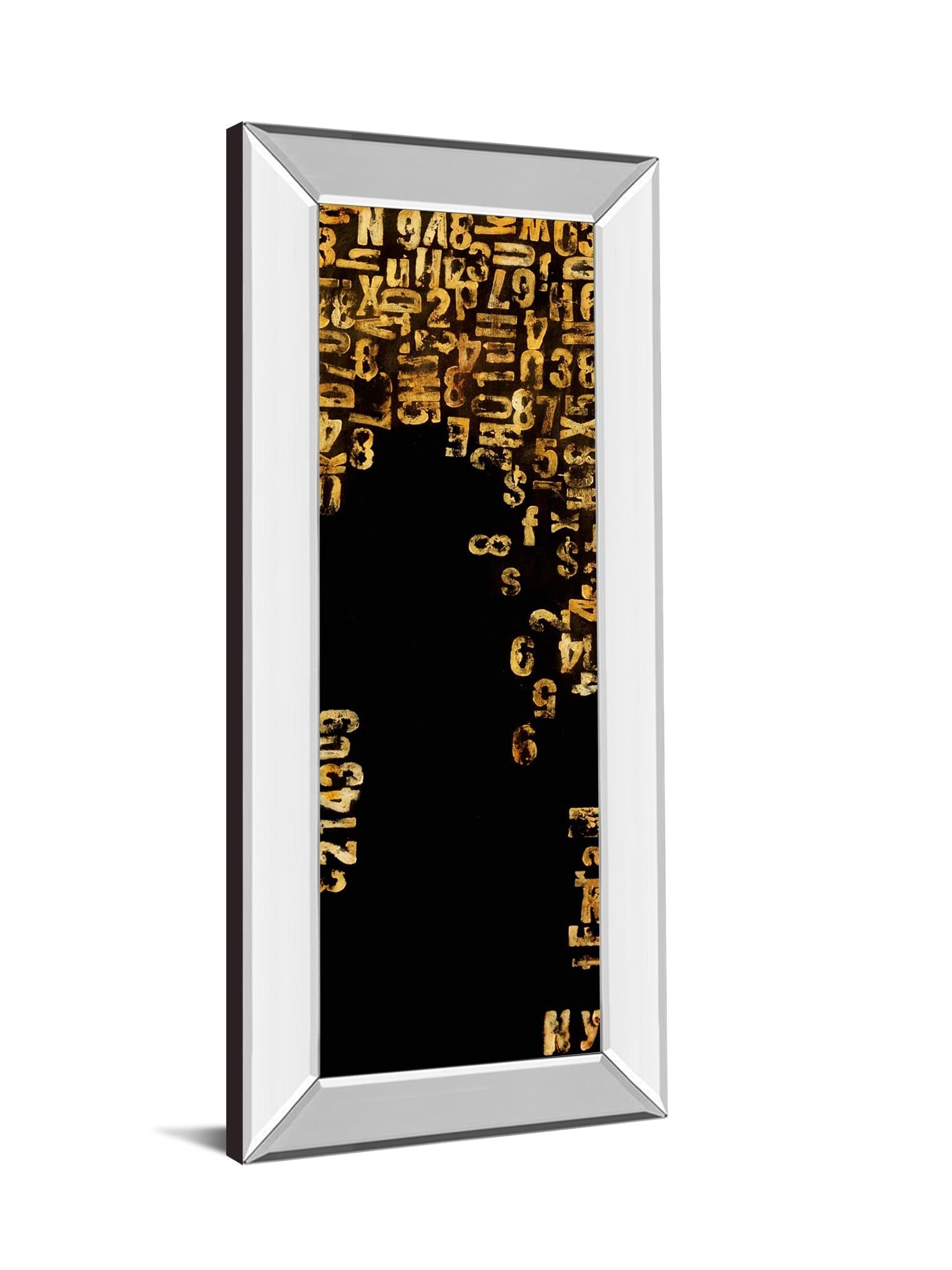 Mirrored Frame Stock Ii By Erin Ashley 18X42 Mirror Frame Print