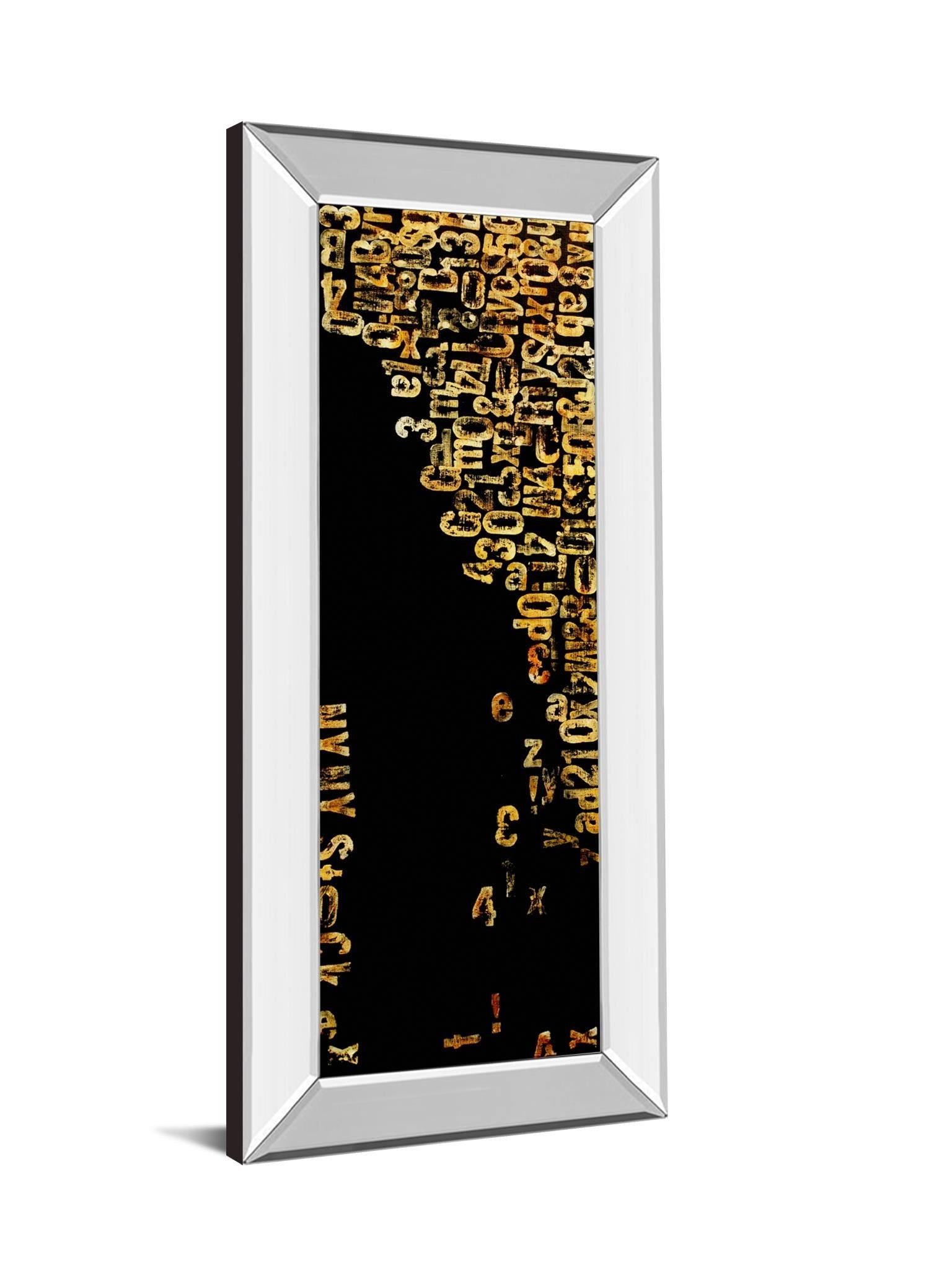 Mirrored Frame Stock I By Erin Ashley 18X42 Mirror Frame Print