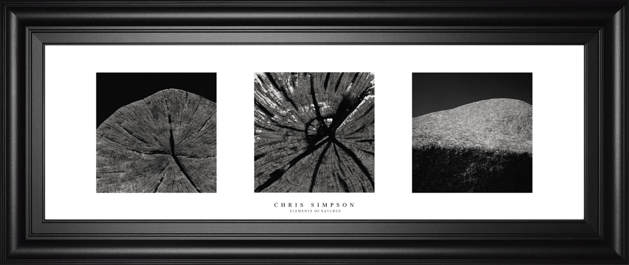 Eliments Of Nature 2 By Chris Simpson 18X42 Framed Print