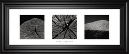 Eliments Of Nature 2 By Chris Simpson 18X42 Framed Print