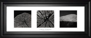 Eliments Of Nature 2 By Chris Simpson 18X42 Framed Print