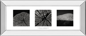 Mirrored Frame Eliments Of Nature 2 By Chris Simpson 18X42 Mirror Frame Print