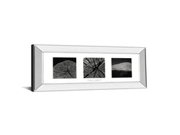 Mirrored Frame Eliments Of Nature 2 By Chris Simpson 18X42 Mirror Frame Print