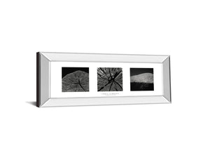 Mirrored Frame Eliments Of Nature 2 By Chris Simpson 18X42 Mirror Frame Print