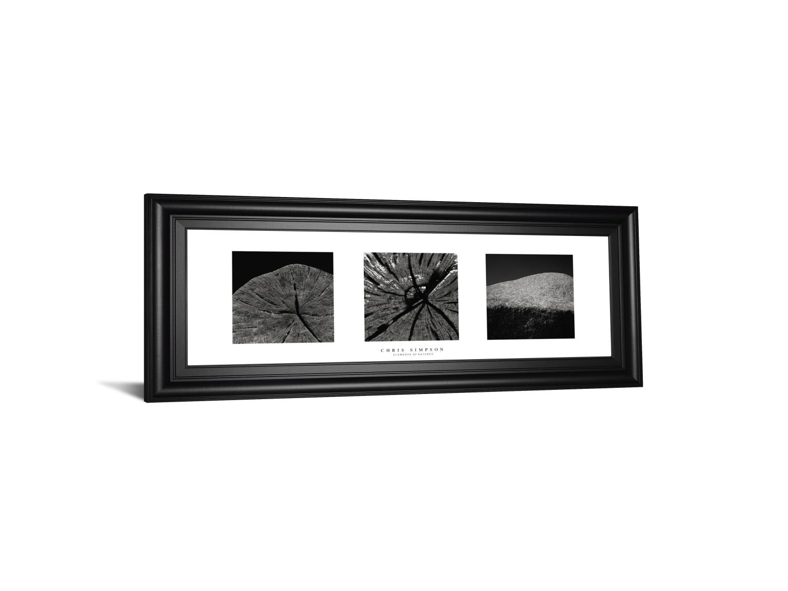 Eliments Of Nature 2 By Chris Simpson 18X42 Framed Print