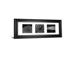 Eliments Of Nature 2 By Chris Simpson 18X42 Framed Print