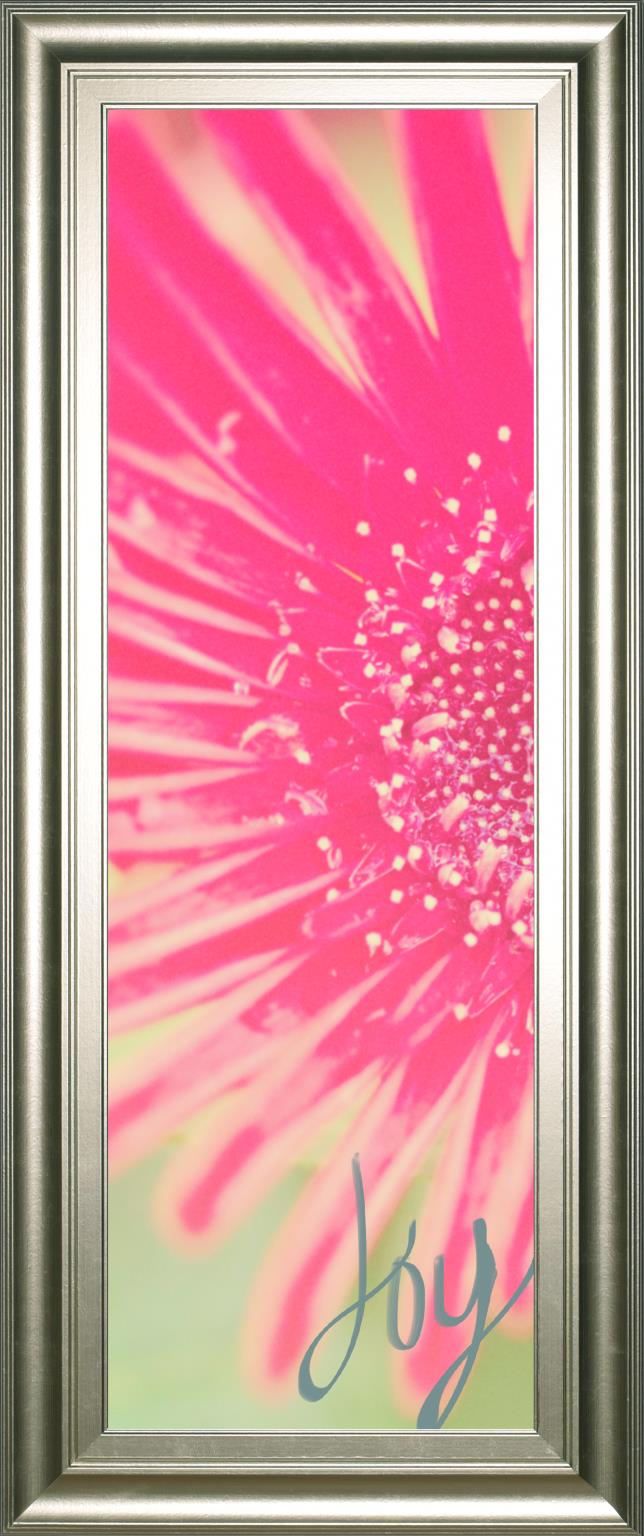 Joy Flower By Susan Bryant 18X42 Framed Print