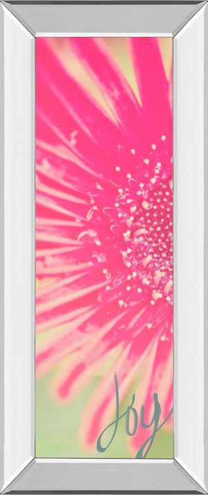 Mirrored Frame Joy Flower By Susan Bryant 18X42 Mirror Frame Print