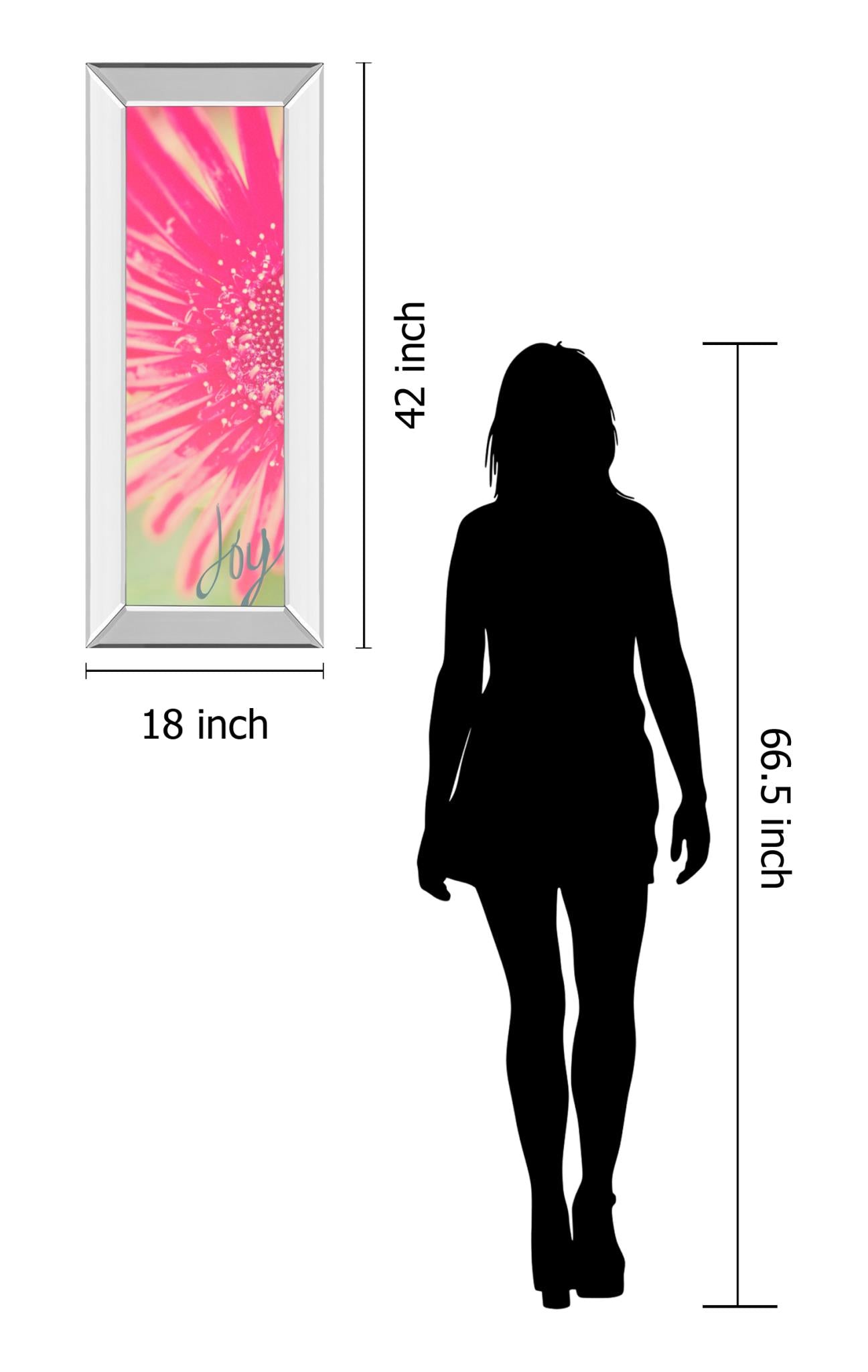 Mirrored Frame Joy Flower By Susan Bryant 18X42 Mirror Frame Print