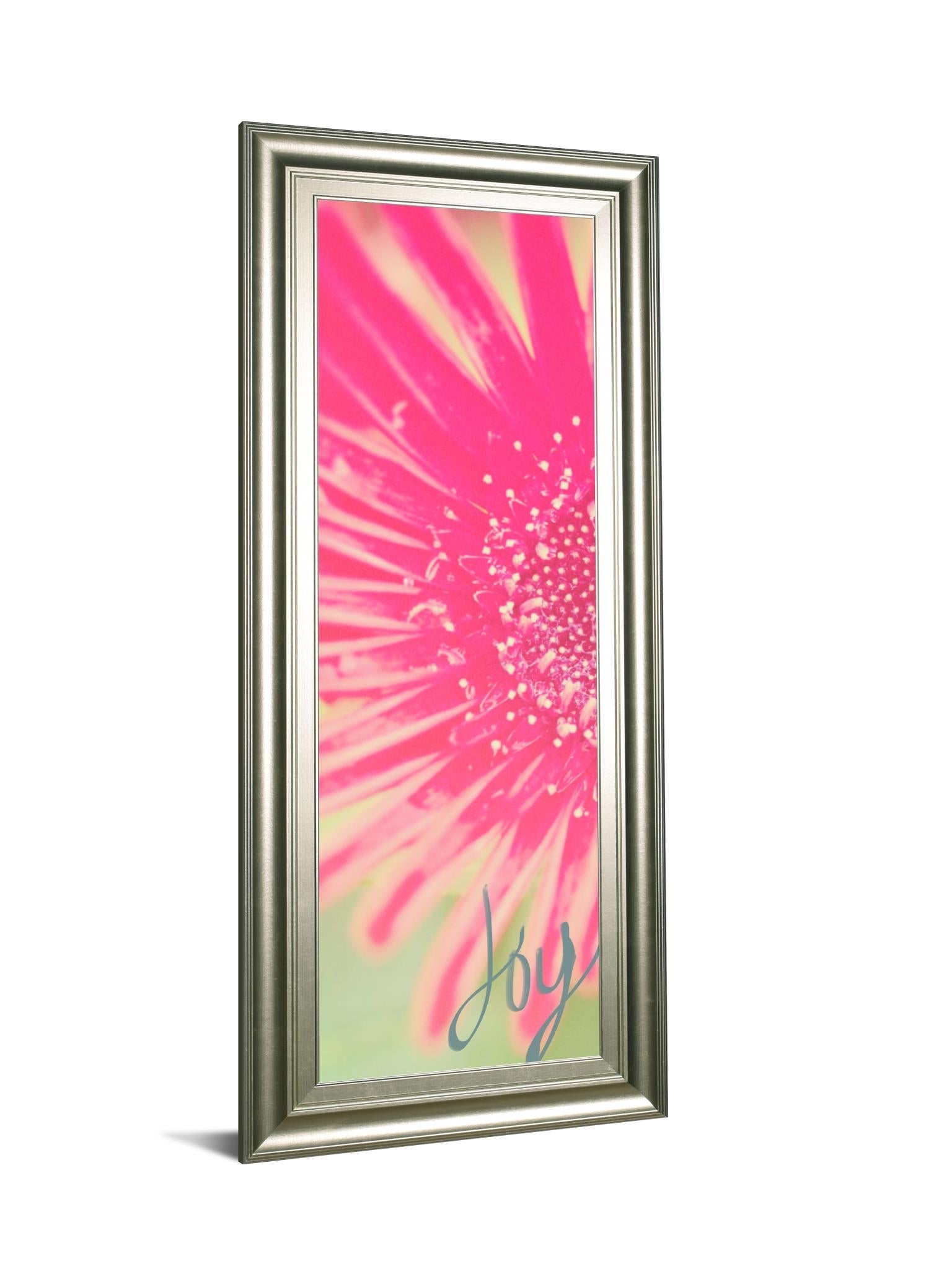 Joy Flower By Susan Bryant 18X42 Framed Print