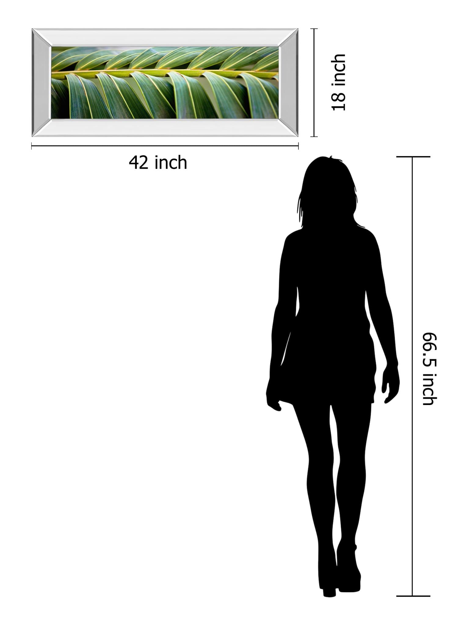 Mirrored Frame Palma I By Susan Bryant 18X42 Mirror Frame Print