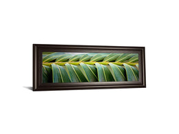 Palma I By Susan Bryant 18X42 Framed Print