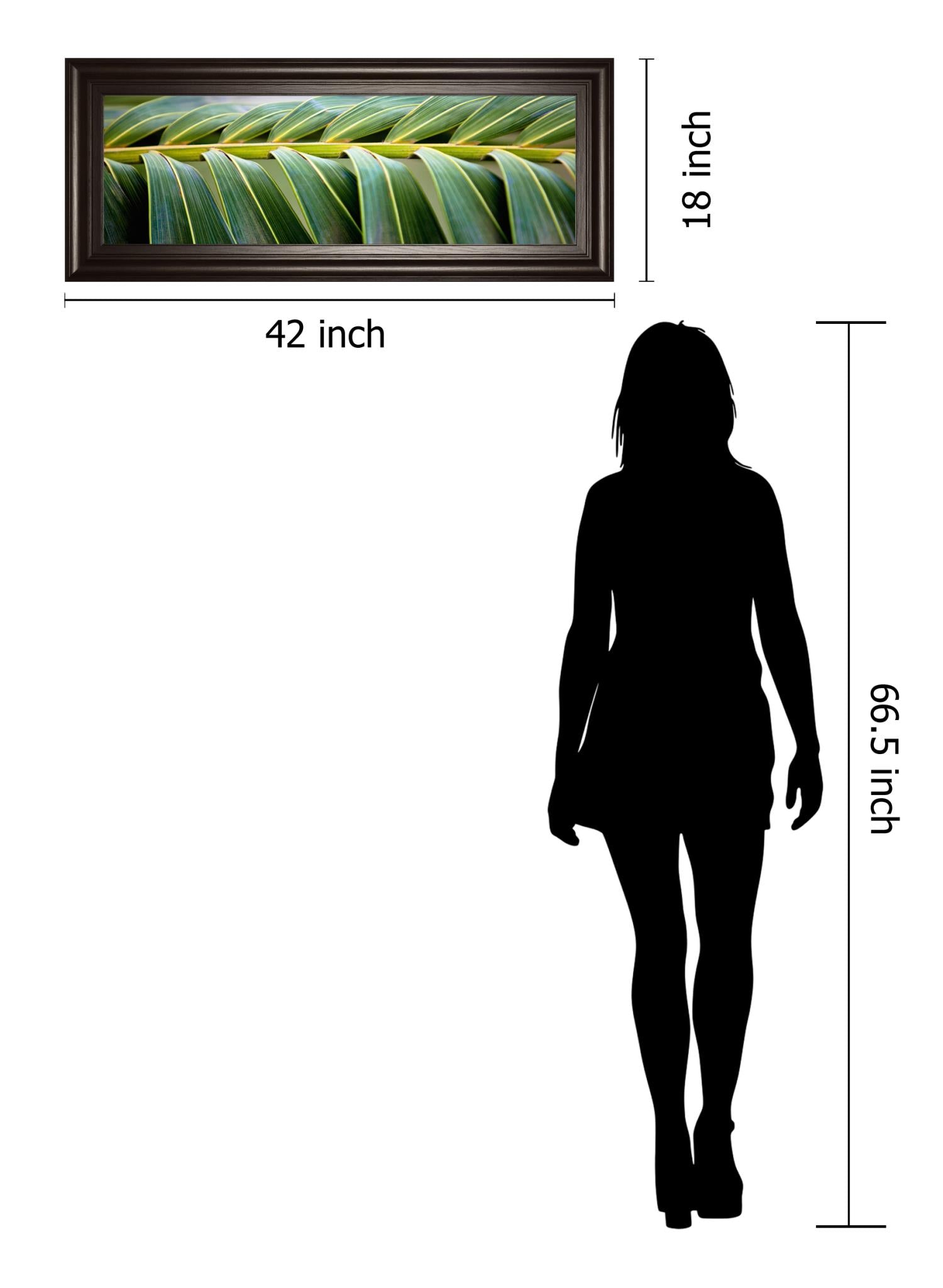 Palma I By Susan Bryant 18X42 Framed Print