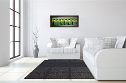 Palma I By Susan Bryant 18X42 Framed Print